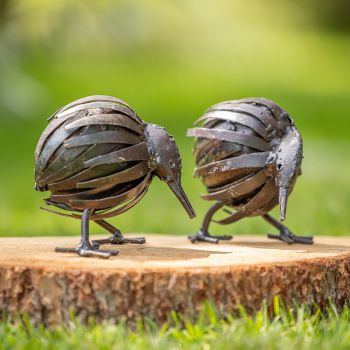Twee Kiwi's